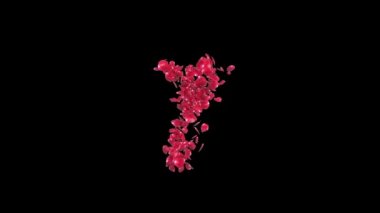 Gül yapraklarından yapılmış on taneden geriye sayım, Luma Matte.mov