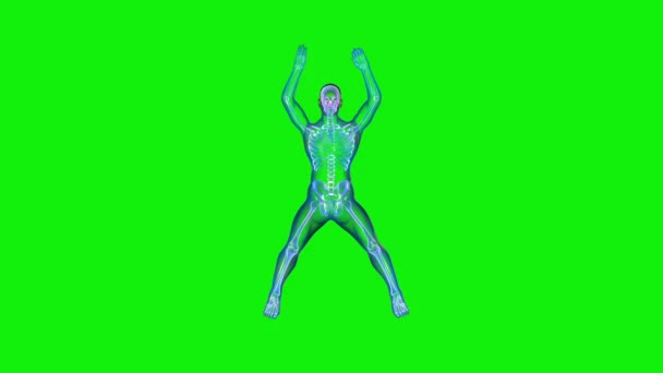 Atleet Ray Oefening Jumping Jacks Naadloze Lus Green Screen Chromakey — Stockvideo