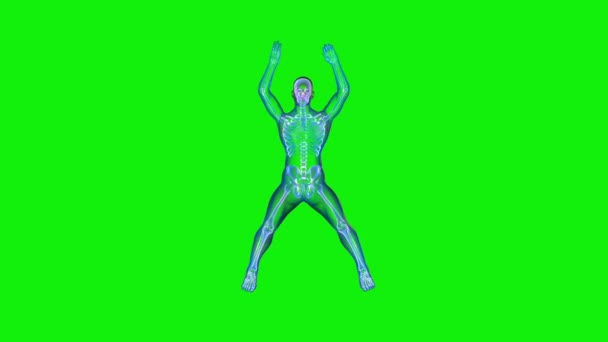 Αθλητής Ray Άσκηση Jumping Jacks Seamless Loop Πράσινη Οθόνη Chromakey — Αρχείο Βίντεο