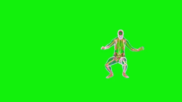 Athlete Capoeira Performer Seamless Loop Green Screen Chromakey Ray — Stock Video