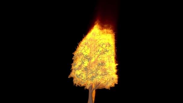 Zavřít Strom Plamenech — Stock video