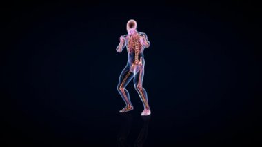 Atlet X-Ray Boks, Ön Görünüm, Kusursuz Döngü, Luma Matte Eklendi