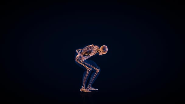 Рентгеновское Тело Скелет Человека Петля Боли Животе Матте Лумы — стоковое видео