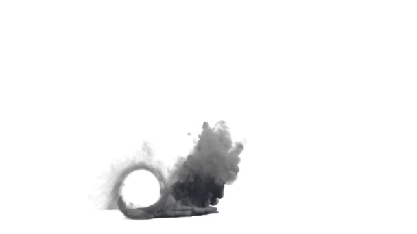 Καπνός Τροχού Αυτοκινήτου Λευκό Φόντο — Αρχείο Βίντεο