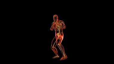 Atletizm boksu kusursuz döngü, x-ray yorumlayıcı, Alfa Kanalı