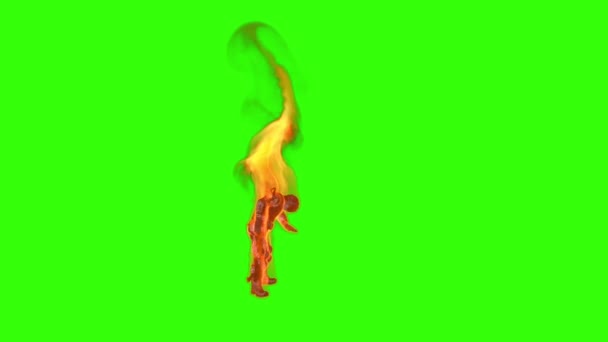 Soldado Llamas Muriendo Vista Lateral Pantalla Verde Chromakey — Vídeo de stock