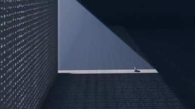 Çantası olan kendine güvenen işadamı, parlak ışığa doğru yürüyor, yan görüş, 4K