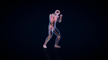 Atlet X-Ray Boks, Yan Görünüm, Kusursuz Döngü, Luma Matte Eklendi