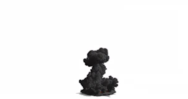 Esplosione Bomba Nucleare Sfondo Bianco — Video Stock