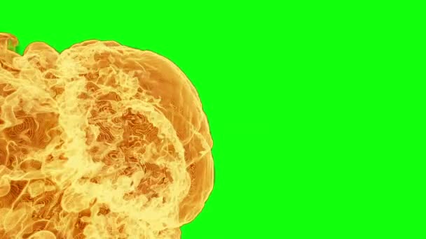 Fuego Llamas Transición Humo Pantalla Verde Chromakey — Vídeo de stock