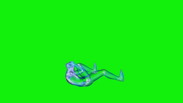 田径X射线运动自行车曲柄 无缝圈 绿色屏幕Chromakey — 图库视频影像