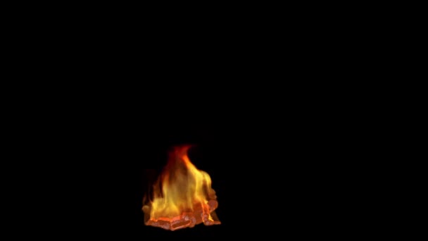 Soldat Foc Târându Agonie Vedere Laterală — Videoclip de stoc