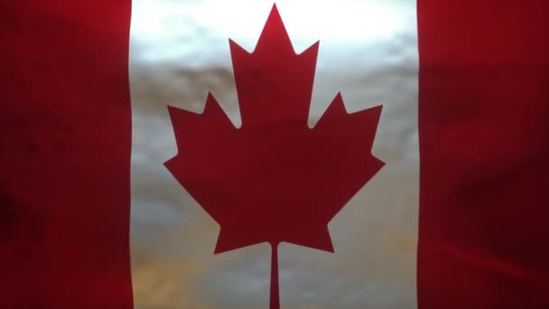 Animación Bandera Canadá Siendo Rasgada Canal Alfa — Vídeos de Stock