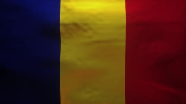 Animation Romania Flag Being Ripped — Stock Video