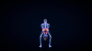 Atlet X-Ray Kaldıraç Çanı, Arka Görünüm Döngüsü, Ağrı Alanına Odaklanma, Luma Matte Eklendi