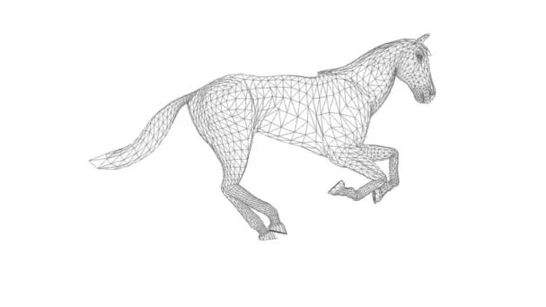 ワイヤーフレーム3D馬は 白に対して シームレスループを実行している — ストック動画