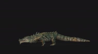 Timsah Saldırısı, Yan Görünüm Kusursuz Döngü, Alfa Kanalı