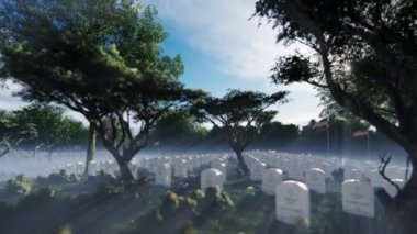 Arlington Ulusal Mezarlığında Mezarlar, Mezar Taşları ve Amerikan Bayrakları