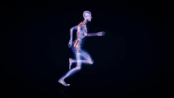 Athlet läuft Nahtlose Schleife, Röntgen-Render, Luma Matte angebracht