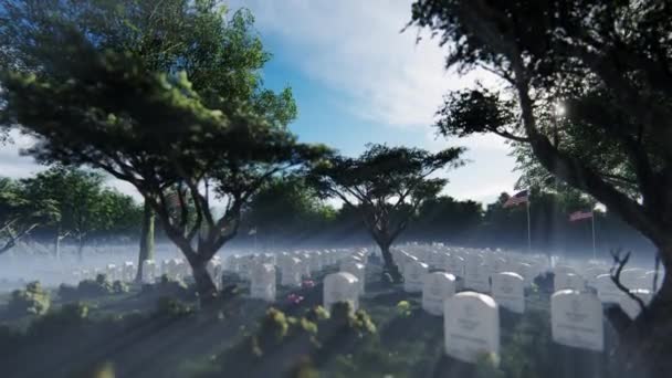 Arlington Ulusal Mezarlığında Mezarlar Mezar Taşları Amerikan Bayrakları — Stok video