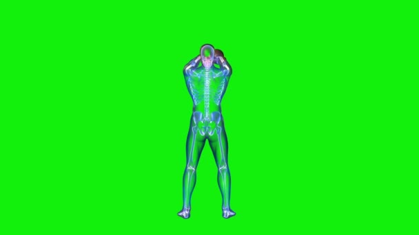 Athlete Ray Lifting Kettlebell Rückseitenschleife Fokus Auf Schmerzbereich Green Screen — Stockvideo