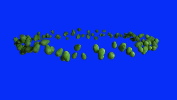 Avocadofrucht Fliegt Kreis Nahtlose Schlaufe Blue Screen Chromakey — Stockvideo