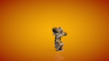 3 Boyutlu Kıllı Manken Dansı, Döngü