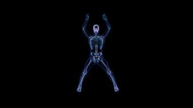 Atlet X-Ray Egzersiz Aletleri, Kusursuz Döngü, Alfa Kanalı