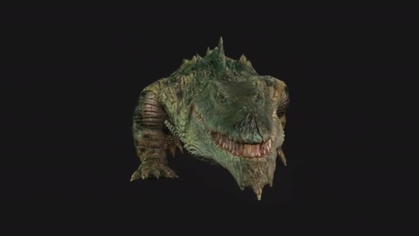 Крокодильський Шлях Передній Вид Безшоломна Петля — стокове відео
