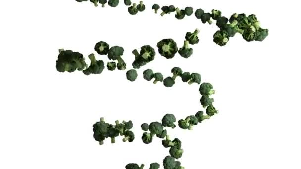 Brokoli Sarmal Şeklinde Uçuyor Beyaza Karşı Pürüzsüz Bir Döngü — Stok video