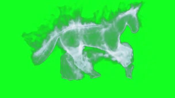 Дымчатая Лошадь Бегущая Морей Зеленый Экран Chromakey — стоковое видео