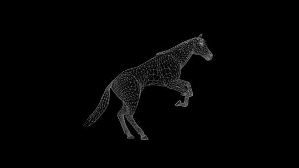 Saut Cheval Wireframe Boucle Transparente Alpha Png — Video