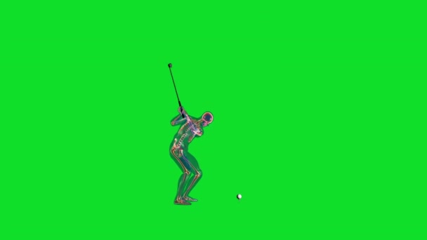 人間のX線ボディとスケルトン ゴルフストライク グリーンスクリーン — ストック動画