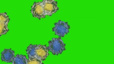 Akyuvar akışı, lenfosit, yeşil ekran krom anahtar.