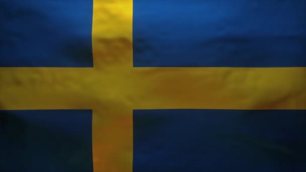瑞典国旗被撕破以揭示Coronavirus Covid 19的精确模型 — 图库视频影像