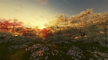 Bahar sahne sunrise, dağ ve göl, kamera tilt