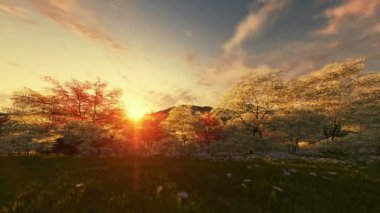 Bahar sahne, timelapse sunrise