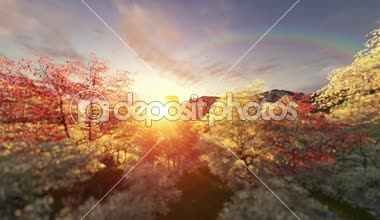 Sahne güneş doğarken uçan hava balonları bahar.