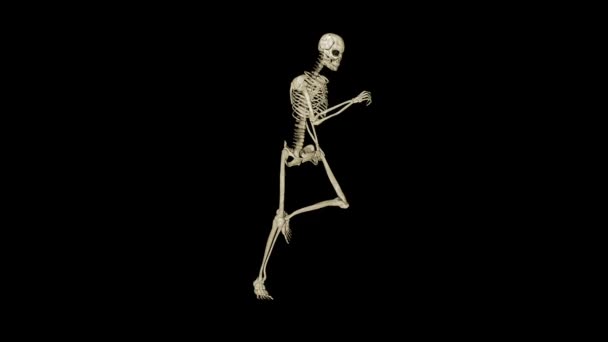 Skeleton running morphing into Human, loop, black — Stock Video