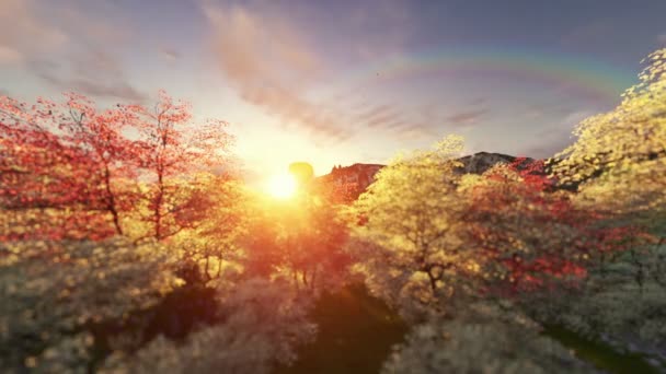 Paysages de printemps au lever du soleil, vol de ballons à air chaud — Video