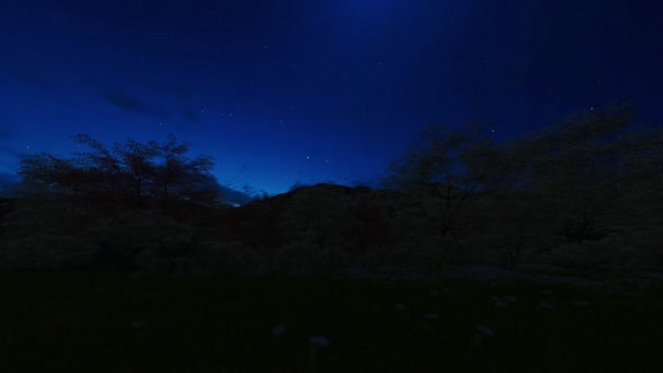 Floresta e montanha, timelapse noite ao nascer do sol para o dia de primavera — Vídeo de Stock