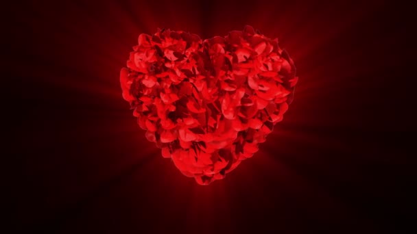 Buon San Valentino e cuore di rosa che esplode — Video Stock