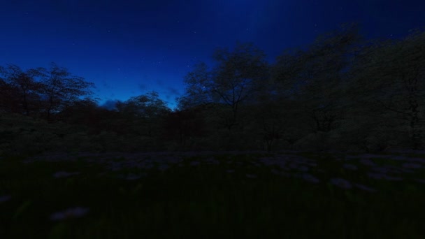 숲과 산, timelapse 일출 하루 밤 봄 카메라 패닝 — 비디오