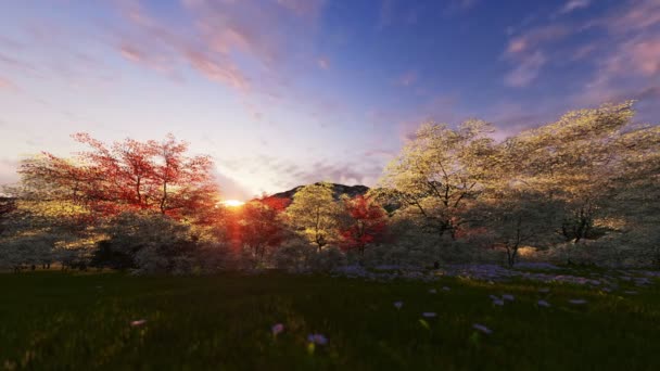 Foresta e montagna, timelapse tramonto di primavera — Video Stock