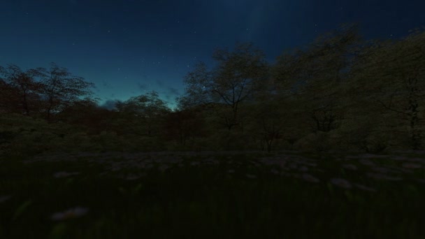 春の風景、タイムラプス夜日日の出をカメラのパン — ストック動画