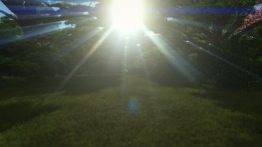Sihirli orman, ağaçların arasından shinning güneş