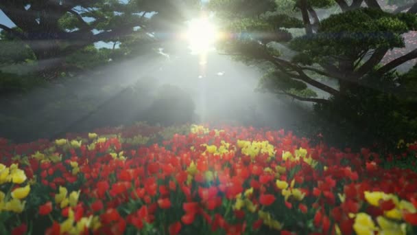 Magischer Wald mit bunten Tulpen, sun shinning durch Bäume, "schräg" — Stockvideo