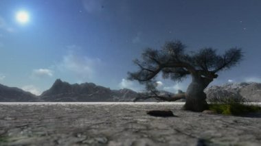 Dağ ve kar yağışı, timelapse bulutlar yalnız ağacı