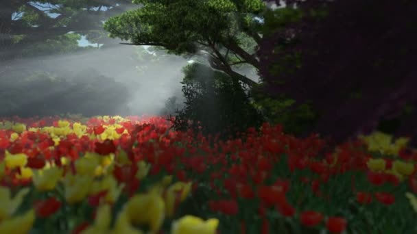 Magic forest with colorful tulips, sun shinning through trees, pan and tilt — Stock Video