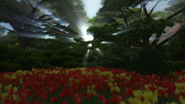 Floresta mágica com tulipas coloridas, sol brilhando através de árvores — Vídeo de Stock